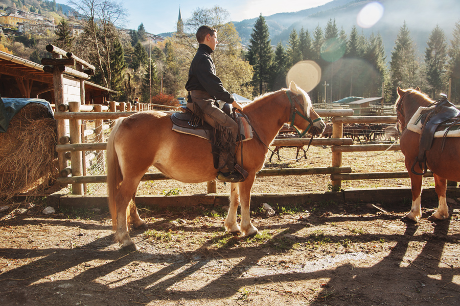 Cavalli al Bram's Ranch